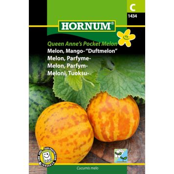 Hornum duftmelon 'Cucumis melo'