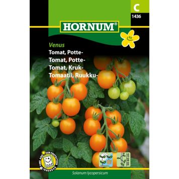 Hornum grøntsagsfrø tomat potte 'Solanum lycopersicum'