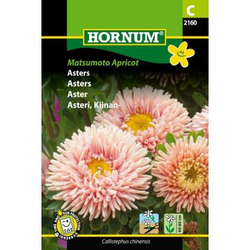 Hornum blomsterfrø Asters 'Callistephus chinensis' abrikos