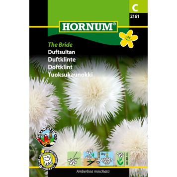 Hornum blomsterfrø duftsultan 'Amberboa moschata'