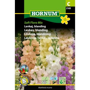 Hornum blomsterfrø levkøj 'Matthiola incana'