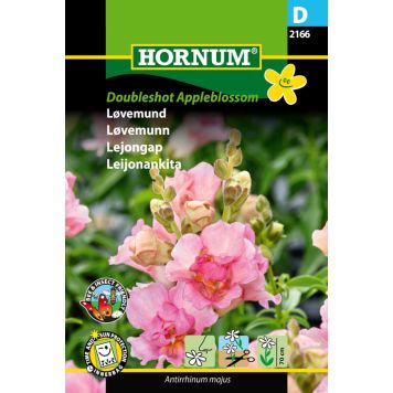 Hornum blomsterfrø løvemund 'Antirrhinum majus' pastelrosa
