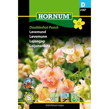 Hornum blomsterfrø løvemund 'Antirrhinum majus' peach