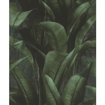 Rasch tapet grønne palmeblade 1050x53 cm