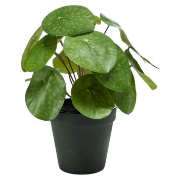 Emerald kunstig Pilea plante 25 cm