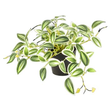 Emerald kunstig plante Tradescantia grøn/hvid 19 cm