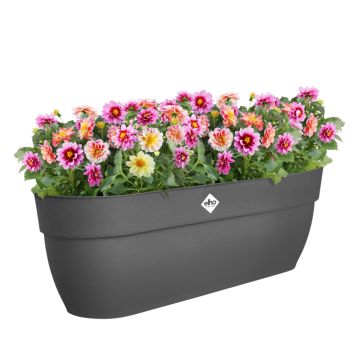 Elho altankasse Vibia Campana sort 58 cm