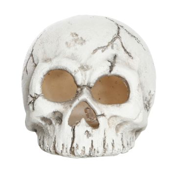 Det Gamle Apotek kranium m. LED inkl. batteri