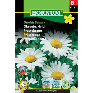 Hornum blomsterfrø Okseøje, Hvid