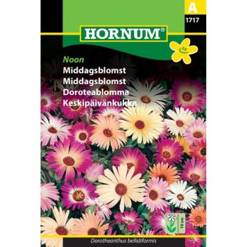 Hornum blomsterfrø Middagsblomst