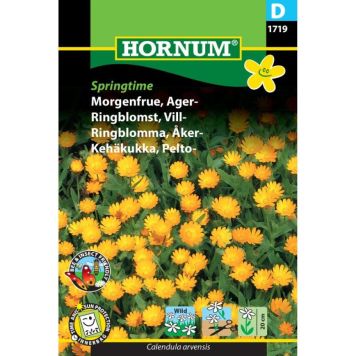 Hornum blomsterfrø Morgenfrue, Ager-