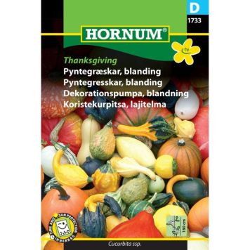 Hornum plantefrø Pyntegræskar, blanding Thanksgiving