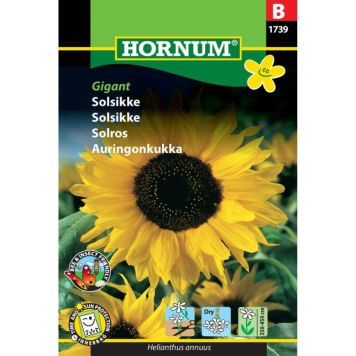 Hornum blomsterfrø Solsikke Gigant