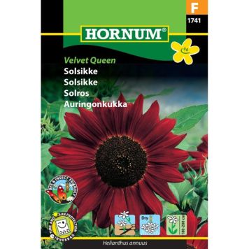 Hornum blomsterfrø Solsikke Velvet Queen
