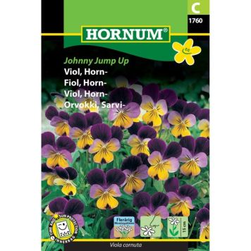 Hornum blomsterfrø Viol, Horn-