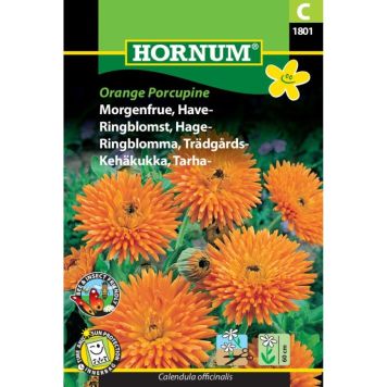 Hornum blomsterfrø Morgenfrue, Have-