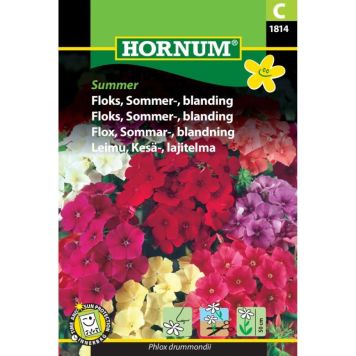 Hornum blomsterfrø Floks, Sommer-, blanding