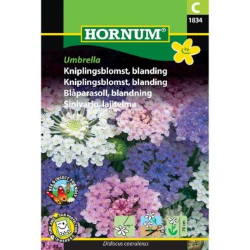 Hornum frøblanding kniplingsblomst Umbrella