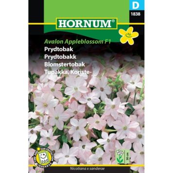 Hornum blomsterfrø Prydtobak