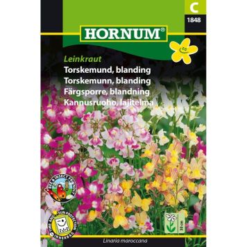 Hornum frøblanding torskemund Leinkraut