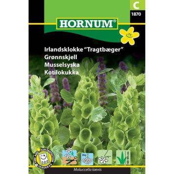 Hornum blomsterfrø Irlandsklokke "Tragtbæger"