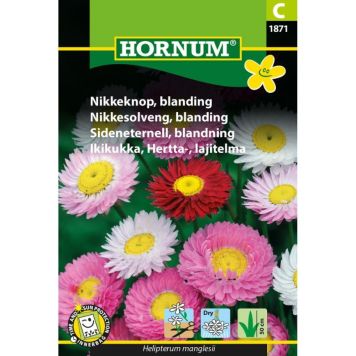 Hornum blomsterfrø Nikkeknop, blanding