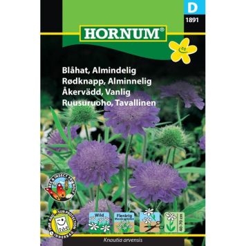 Hornum blomsterfrø almindelig blåhat