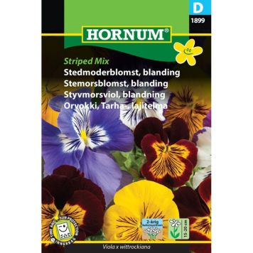 Hornum blomsterfrø stedmoderblomst blanding Striped Mix