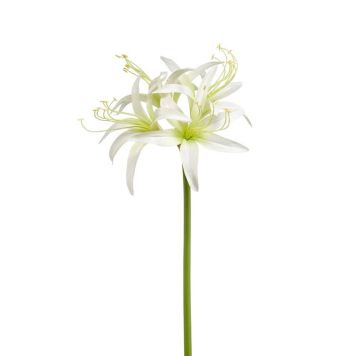 Emerald kunstig snitblomst Amaryllis Spider creme 73 cm 