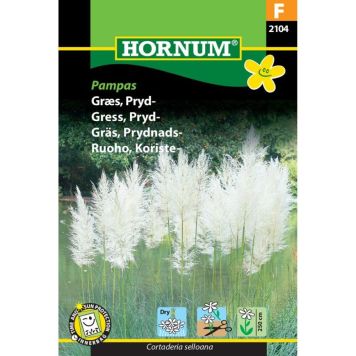 Hornum plantefrø prydgræs Pampas