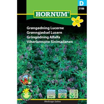 Hornum blomsterfrø grøngødning Lucerne