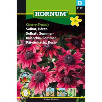 Hornum blomsterfrø håret solhat Cherry Brandy