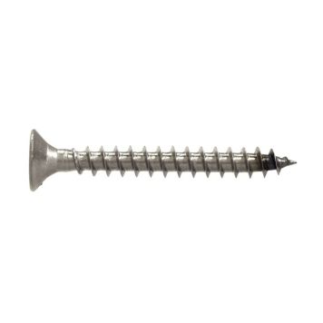 Spunskrue A2 4X50 Torx