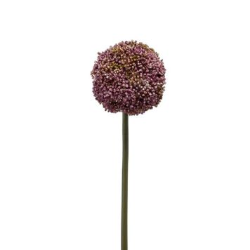 Emerald Allium lilla 75 cm