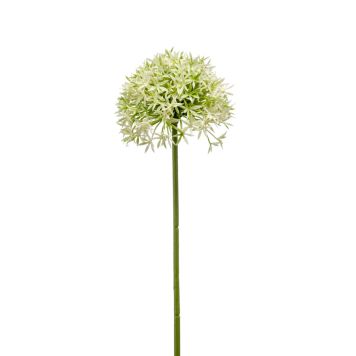 Emerald kunstig alliumstilk grøn 62 cm 