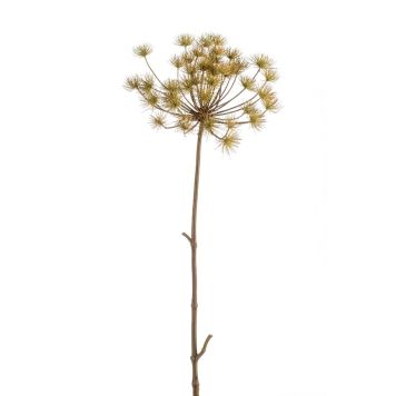 Emerald kunstig bjørneklo Heracleum tørret 125 cm