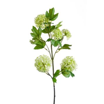 Emerald viburnum grøn 75 cm