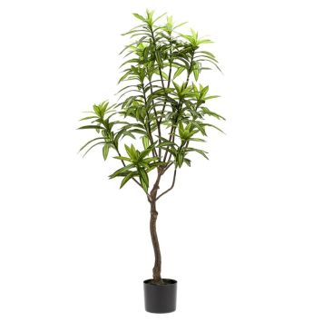 Emerald Dracaena med potte 130 cm