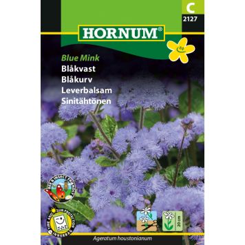 Hornum blomsterfrø blåkvast Blue Mink 