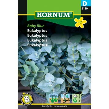 Hornum frø eukalyptus Baby Blue 