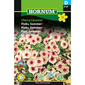 Hornum blomsterfrø Floks Sommer Cherry Caramel