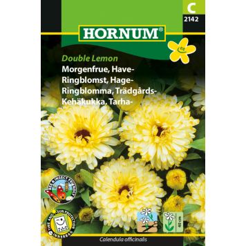 Hornum blomsterfrø morgenfrue Have Double Lemon 