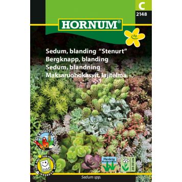 Hornum blomsterfrø sedum blanding stenurt 
