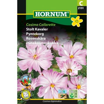 Hornum blomsterfrø stolt kavaler Cosimo Collarete 