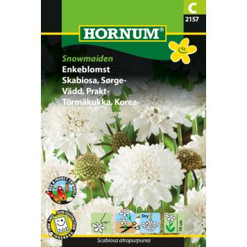 Hornum blomsterfrø enkeblomst Snowmaiden 