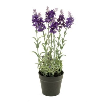 Emerald lavendel mørk lilla 28 cm