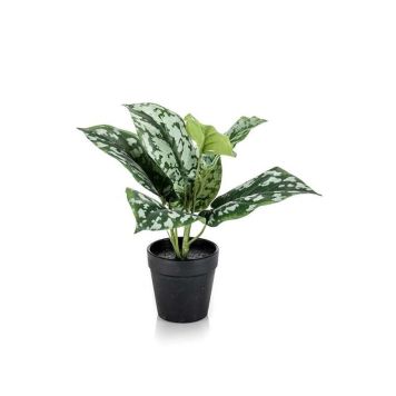 Emerald kunstig plante sølvranke inkl. potte 24 cm 