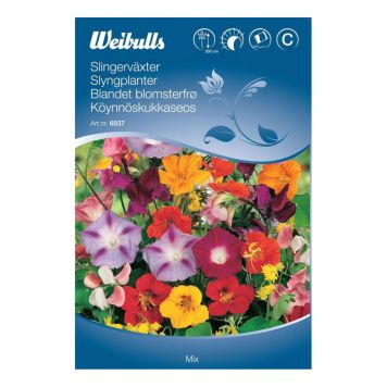 Weibulls blomsterfrø slyngplante 