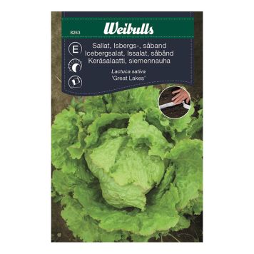 Weibulls grøntsagsfrø icebergsalat Great Lakes såbånd
