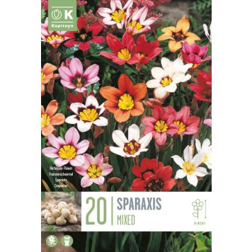 Kapiteyn blomsterløg Sparaxis Mix Harlequin Flowers 20 stk.